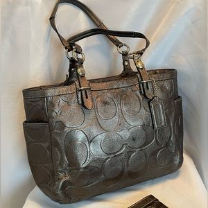 Metallic Coach Bag and change purse matching set